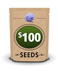 $100 seed packet