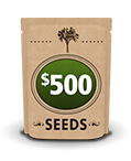 $500 seed packet