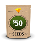 $50 seed packet