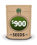$900 seed packet